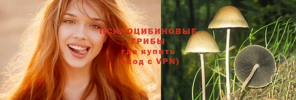 МДПВ Алексин