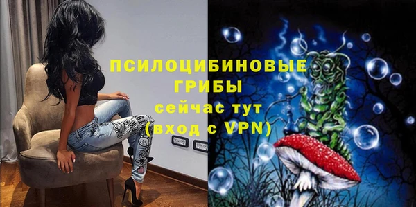 МДПВ Алексин
