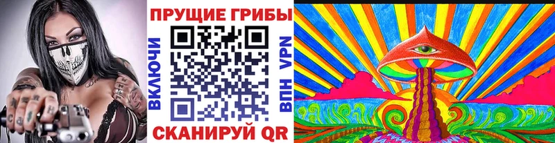 хочу Полярные Зори Псилоцибиновые грибы Magic Shrooms